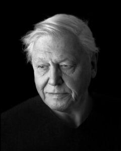 portrait of sir david attenborough by richard boll photography