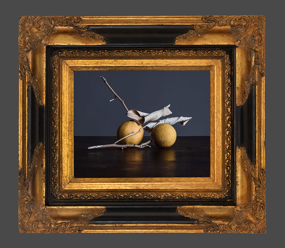 Fine art still life photography by Richard Boll from the project Memento.